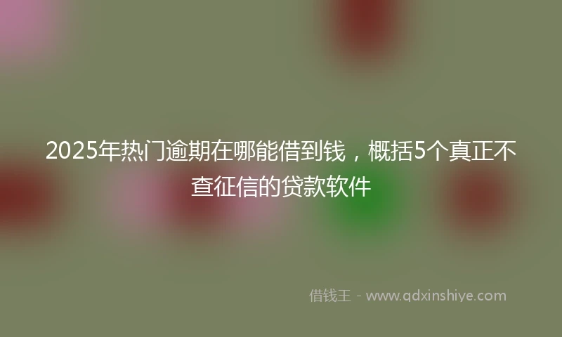 2025年热门逾期在哪能借到钱，概括5个真正不查征信的贷款软件