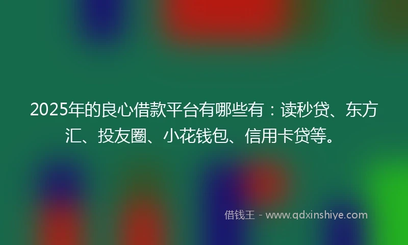 2025年的良心借款平台有哪些有：读秒贷、东方汇、投友圈、小花钱包、信用卡贷等。