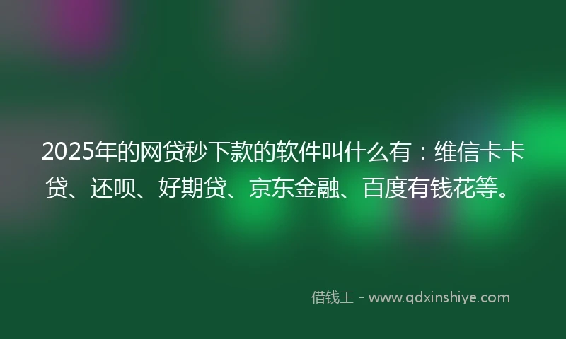 2025年的网贷秒下款的软件叫什么有：维信卡卡贷、还呗、好期贷、京东金融、百度有钱花等。