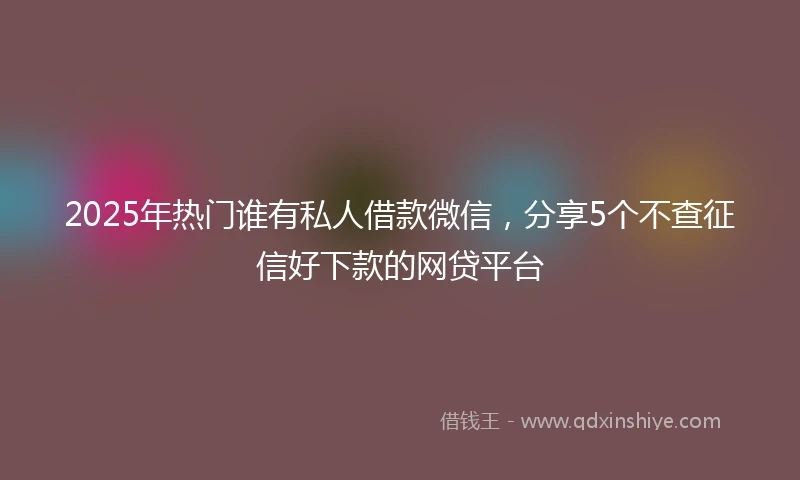 2025年热门谁有私人借款微信，分享5个不查征信好下款的网贷平台