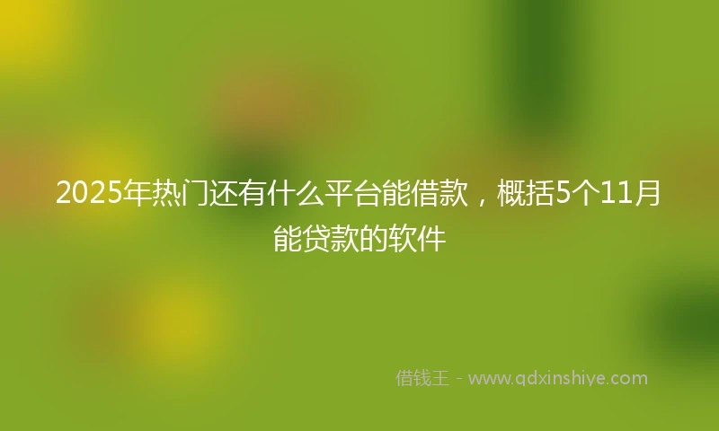 2025年热门还有什么平台能借款，概括5个11月能贷款的软件