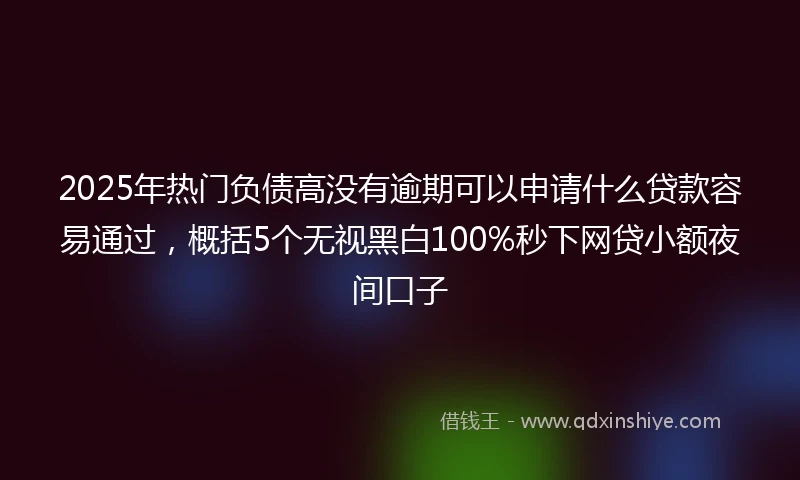 2025年热门负债高没有逾期可以申请什么贷款容易通过，概括5个无视黑白100%秒下网贷小额夜间口子