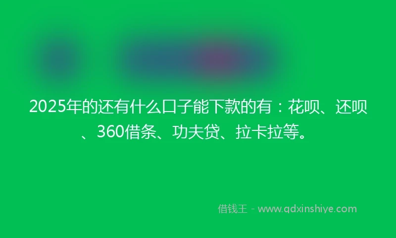 2025年的还有什么口子能下款的有：花呗、还呗、360借条、功夫贷、拉卡拉等。
