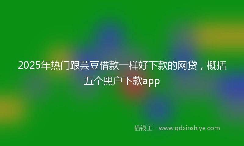 2025年热门跟芸豆借款一样好下款的网贷，概括五个黑户下款app