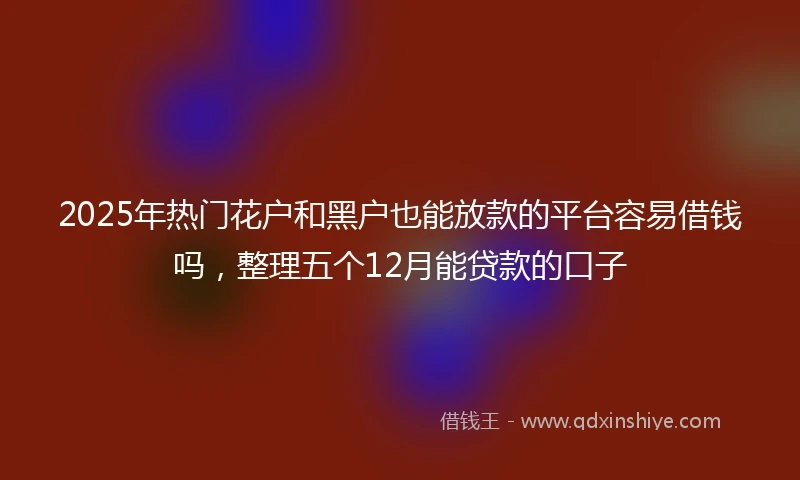 2025年热门花户和黑户也能放款的平台容易借钱吗，整理五个12月能贷款的口子