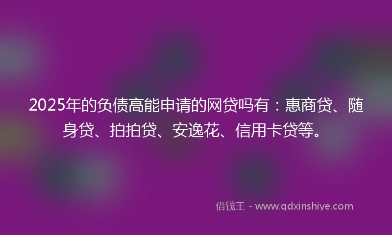 2025年的负债高能申请的网贷吗有：惠商贷、随身贷、拍拍贷、安逸花、信用卡贷等。