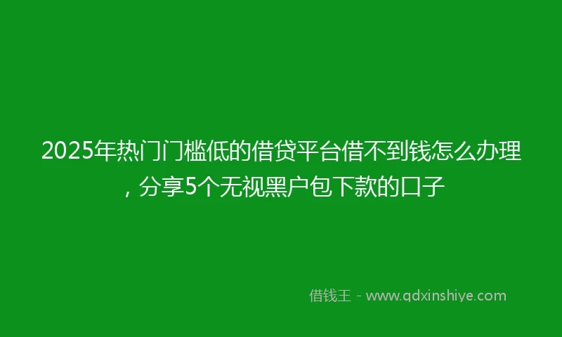 2025年热门门槛低的借贷平台借不到钱怎么办理，分享5个无视黑户包下款的口子