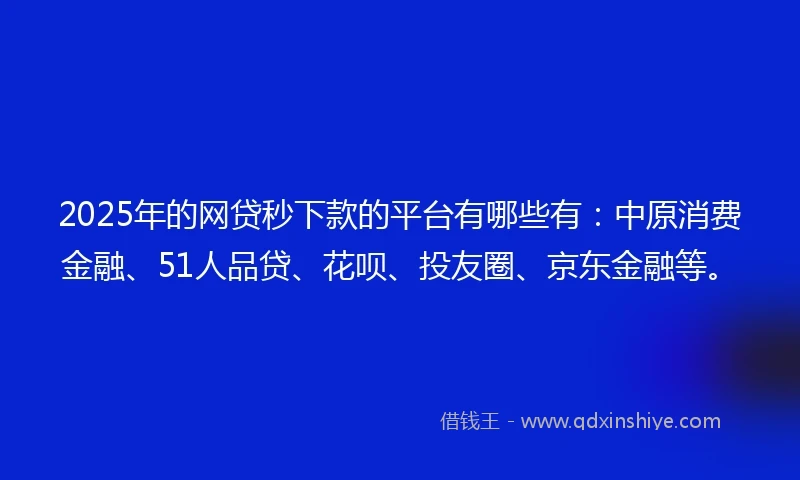 2025年的网贷秒下款的平台有哪些有：中原消费金融、51人品贷、花呗、投友圈、京东金融等。