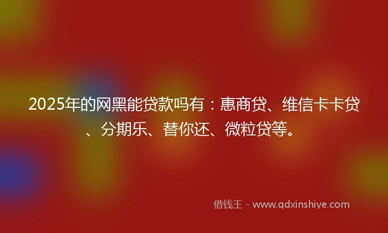 2025年的网黑能贷款吗有：惠商贷、维信卡卡贷、分期乐、替你还、微粒贷等。