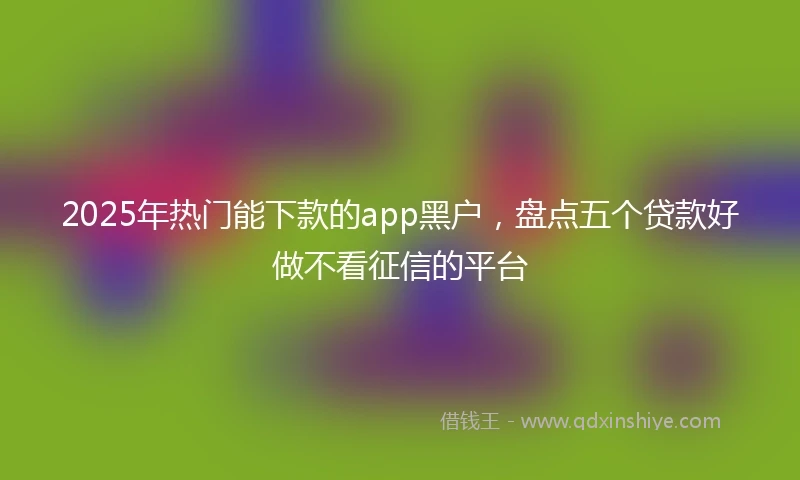 2025年热门能下款的app黑户，盘点五个贷款好做不看征信的平台