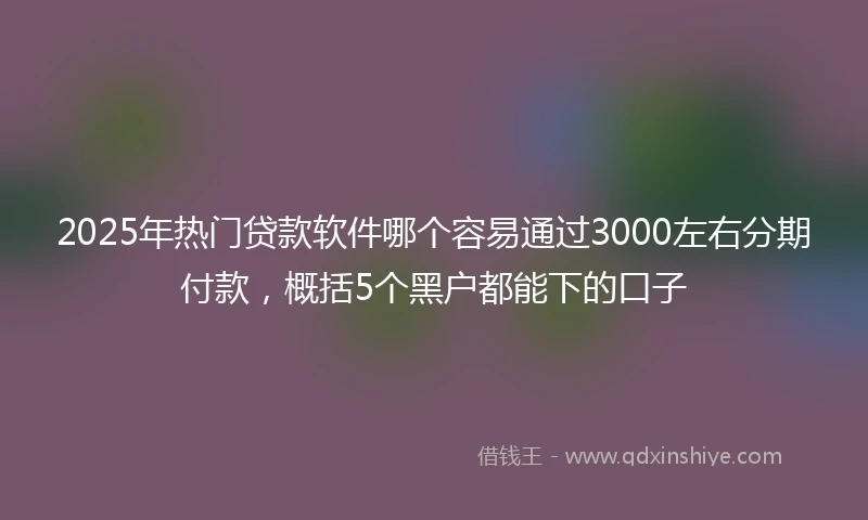 2025年热门贷款软件哪个容易通过3000左右分期付款,概括5个黑户都能下的口子