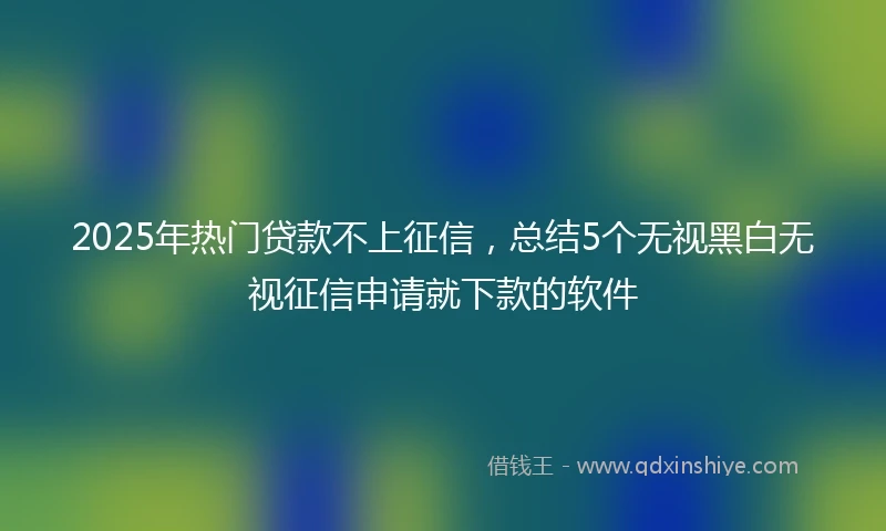2025年热门贷款不上征信，总结5个无视黑白无视征信申请就下款的软件