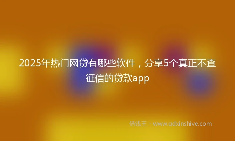 2025年热门网贷有哪些软件，分享5个真正不查征信的贷款app