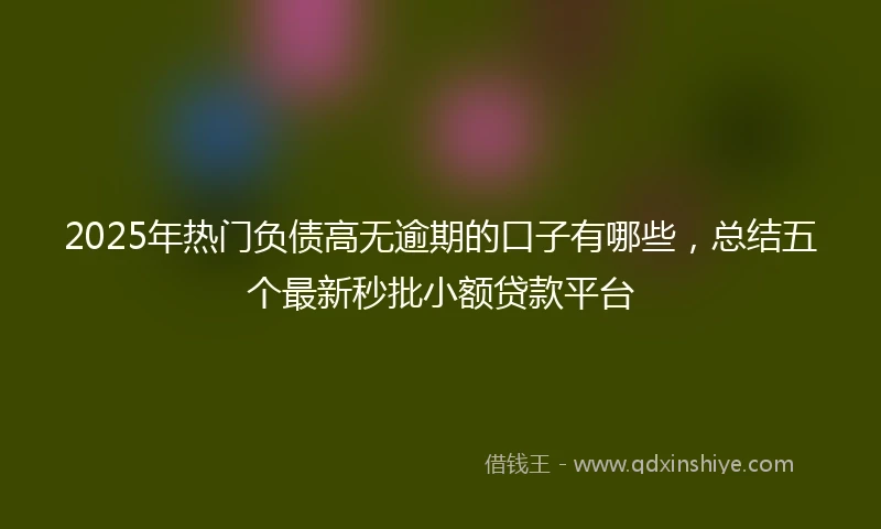 2025年热门负债高无逾期的口子有哪些，总结五个最新秒批小额贷款平台