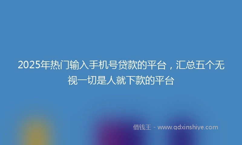 2025年热门输入手机号贷款的平台，汇总五个无视一切是人就下款的平台
