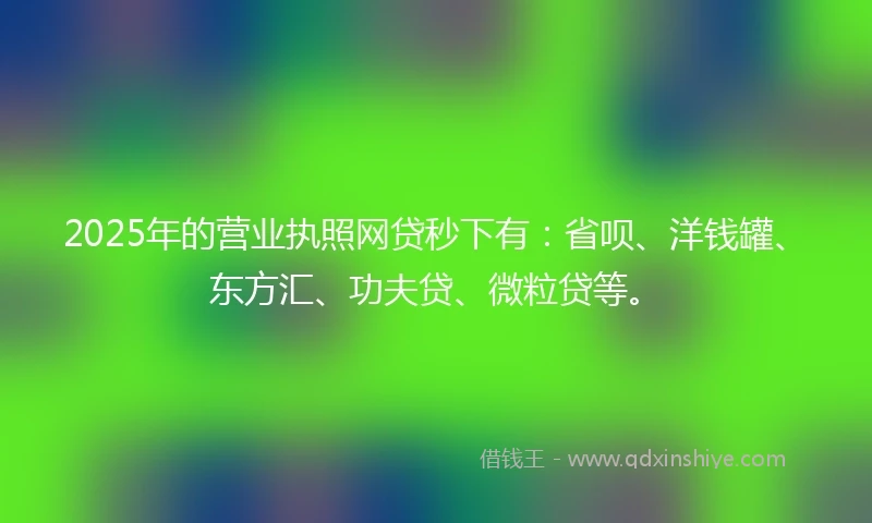 2025年的营业执照网贷秒下有：省呗、洋钱罐、东方汇、功夫贷、微粒贷等。