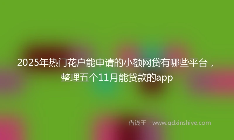 2025年热门花户能申请的小额网贷有哪些平台，整理五个11月能贷款的app