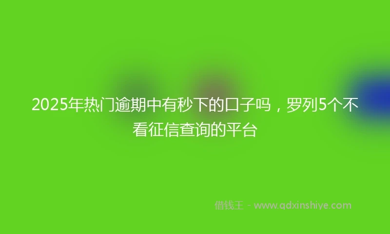 2025年热门逾期中有秒下的口子吗，罗列5个不看征信查询的平台