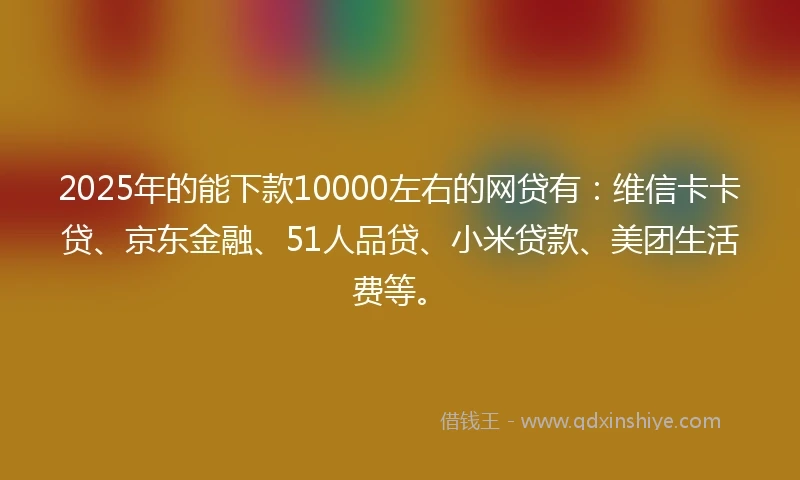 2025年的能下款10000左右的网贷有：维信卡卡贷、京东金融、51人品贷、小米贷款、美团生活费等。