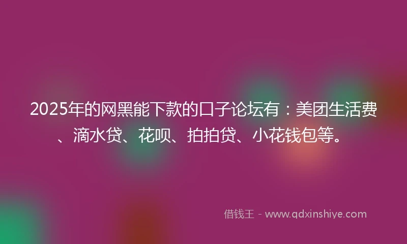 2025年的网黑能下款的口子论坛有：美团生活费、滴水贷、花呗、拍拍贷、小花钱包等。