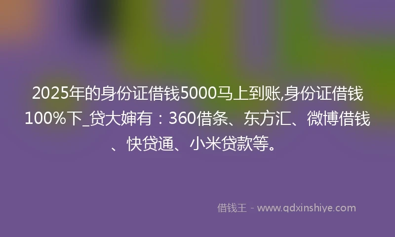 2025年的身份证借钱5000马上到账,身份证借钱100%下_贷大婶有：360借条、东方汇、微博借钱、快贷通、小米贷款等。