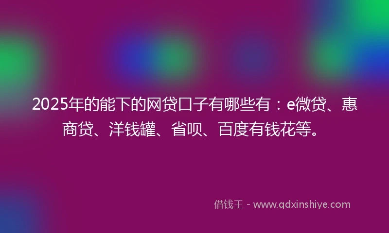 2025年的能下的网贷口子有哪些有：e微贷、惠商贷、洋钱罐、省呗、百度有钱花等。