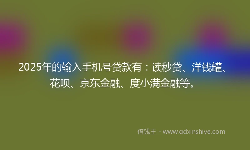 2025年的输入手机号贷款有：读秒贷、洋钱罐、花呗、京东金融、度小满金融等。