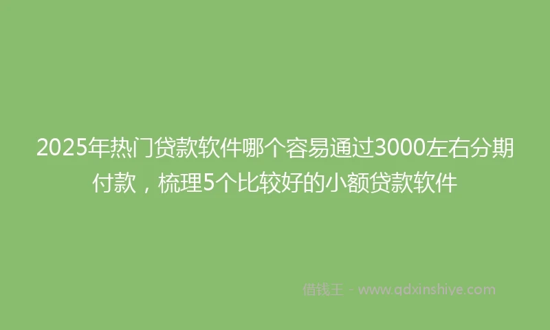 2025年热门贷款软件哪个容易通过3000左右分期付款，梳理5个比较好的小额贷款软件