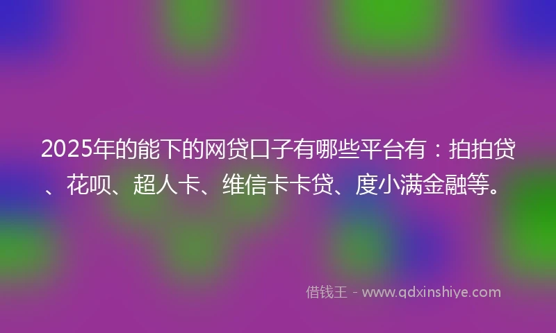 2025年的能下的网贷口子有哪些平台有：拍拍贷、花呗、超人卡、维信卡卡贷、度小满金融等。