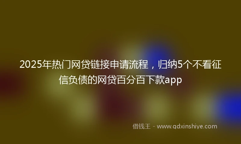 2025年热门网贷链接申请流程，归纳5个不看征信负债的网贷百分百下款app