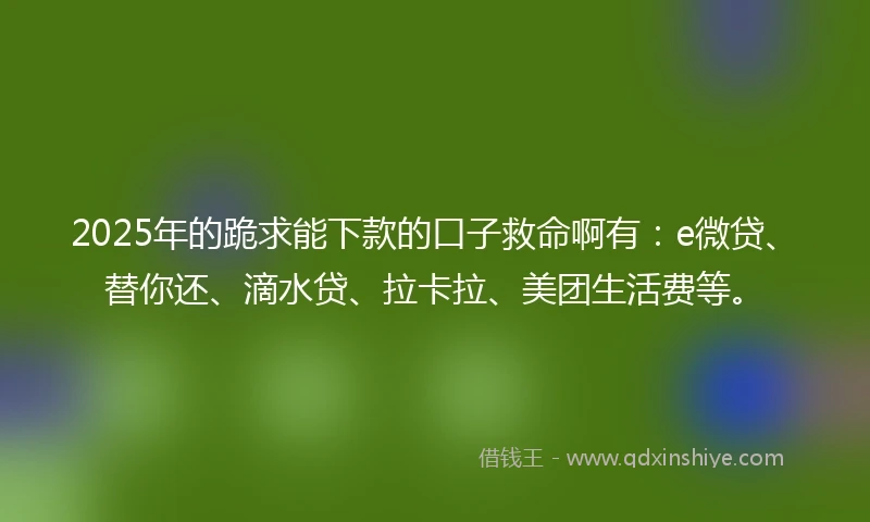 2025年的跪求能下款的口子救命啊有:e微贷、替你还、滴水贷、拉卡拉、美团生活费等。