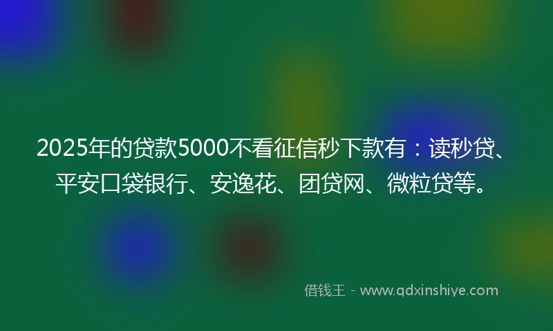 2025年的贷款5000不看征信秒下款有：读秒贷、平安口袋银行、安逸花、团贷网、微粒贷等。