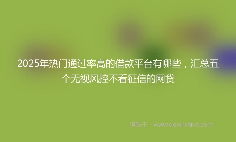 2025年热门通过率高的借款平台有哪些,汇总五个无视风控不看征信的网贷