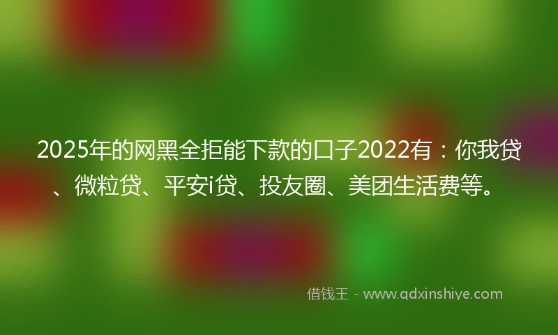2025年的网黑全拒能下款的口子2022有：你我贷、微粒贷、平安i贷、投友圈、美团生活费等。
