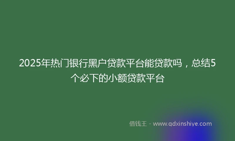 2025年热门银行黑户贷款平台能贷款吗，总结5个必下的小额贷款平台