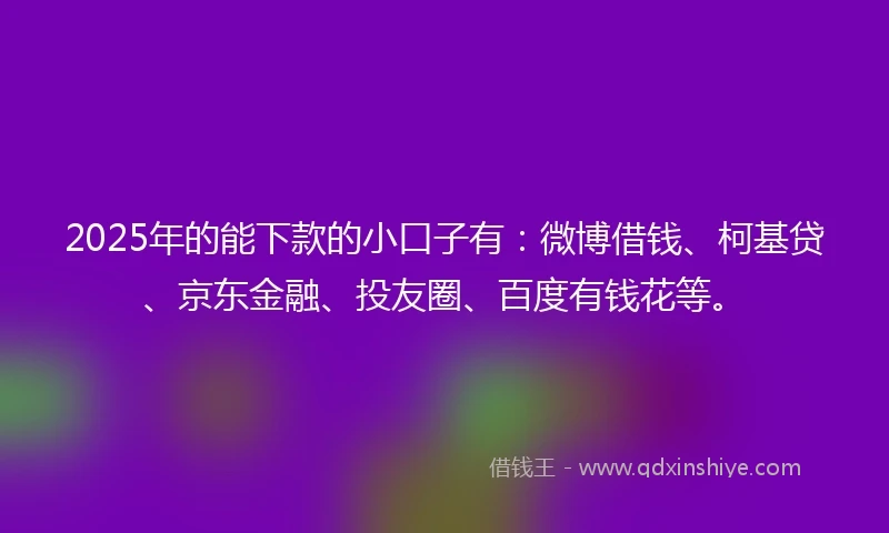 2025年的能下款的小口子有：微博借钱、柯基贷、京东金融、投友圈、百度有钱花等。