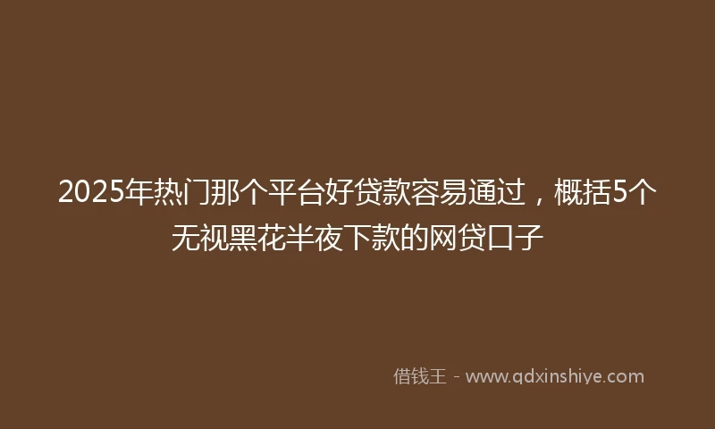 2025年热门那个平台好贷款容易通过，概括5个无视黑花半夜下款的网贷口子