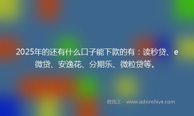 2025年的还有什么口子能下款的有：读秒贷、e微贷、安逸花、分期乐、微粒贷等。