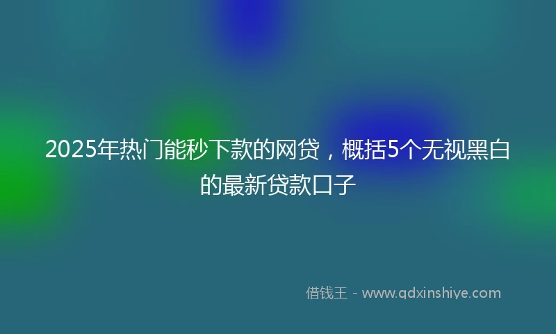 2025年热门能秒下款的网贷，概括5个无视黑白的最新贷款口子