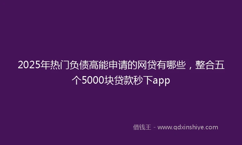 2025年热门负债高能申请的网贷有哪些，整合五个5000块贷款秒下app