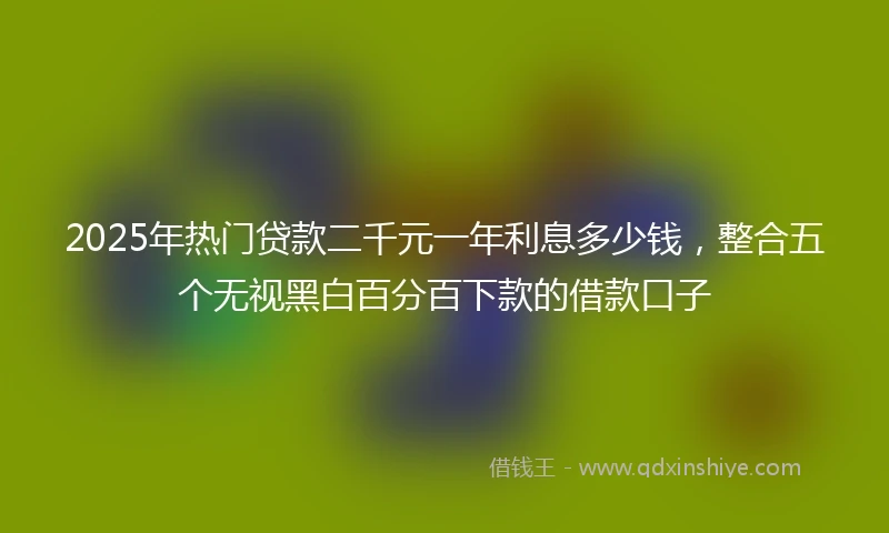 2025年热门贷款二千元一年利息多少钱，整合五个无视黑白百分百下款的借款口子