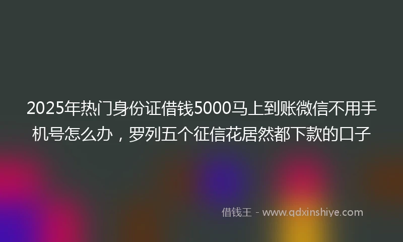 2025年热门身份证借钱5000马上到账微信不用手机号怎么办,罗列五个征信花居然都下款的口子
