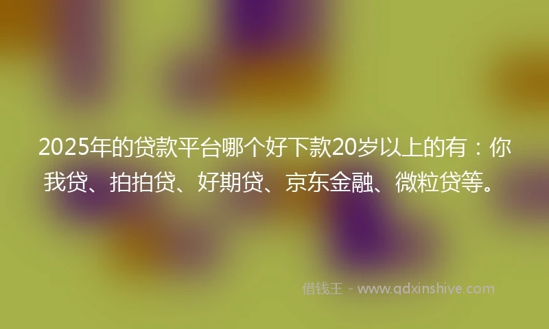 2025年的贷款平台哪个好下款20岁以上的有：你我贷、拍拍贷、好期贷、京东金融、微粒贷等。