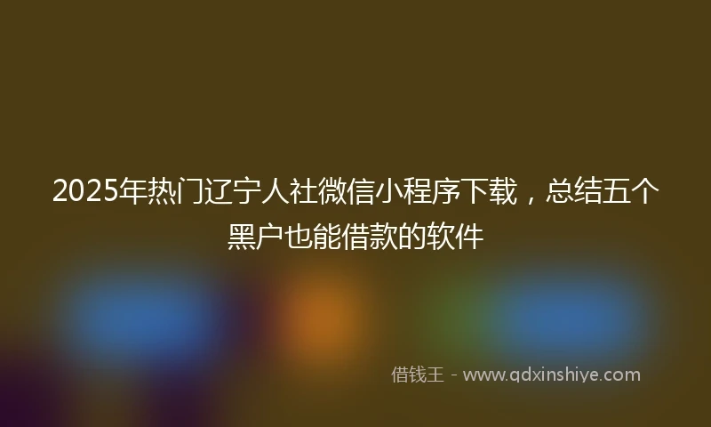 2025年热门辽宁人社微信小程序下载，总结五个黑户也能借款的软件