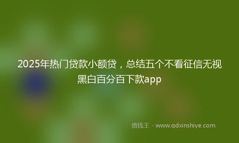 2025年热门贷款小额贷，总结五个不看征信无视黑白百分百下款app