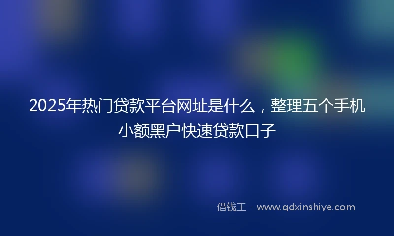 2025年热门贷款平台网址是什么，整理五个手机小额黑户快速贷款口子