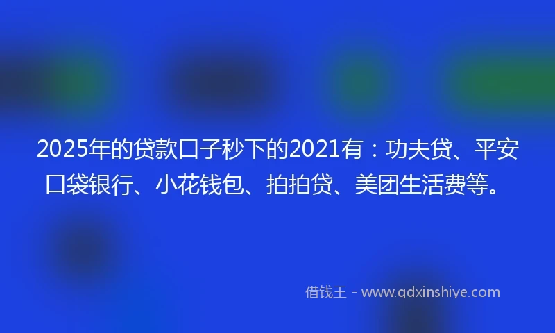2025年的贷款口子秒下的2021有：功夫贷、平安口袋银行、小花钱包、拍拍贷、美团生活费等。