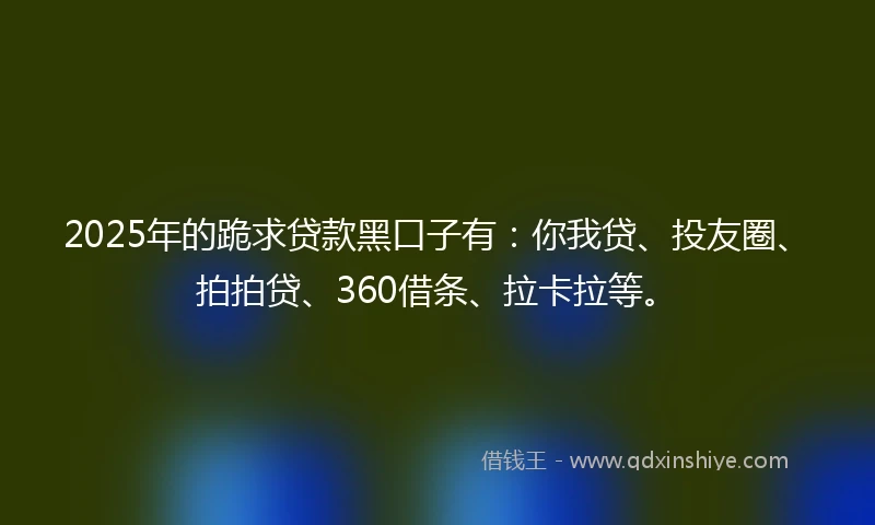 2025年的跪求贷款黑口子有：你我贷、投友圈、拍拍贷、360借条、拉卡拉等。