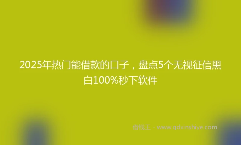 2025年热门能借款的口子，盘点5个无视征信黑白100%秒下软件
