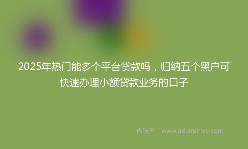 2025年热门能多个平台贷款吗，归纳五个黑户可快速办理小额贷款业务的口子
